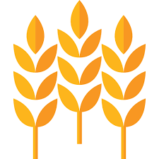 Wheat Free Food Icons