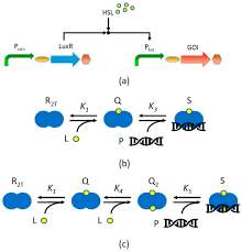 Mechanistic Models