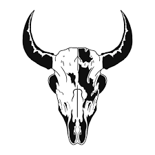 Bull Skull Images