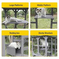 Aivituvin Air37 Walk In Extra Large Outdoor Cat Enclosure Connected To House
