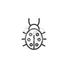 Ladybug Outline Icon Linear Style Sign