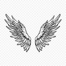 Angel Wing Outline Images Browse 15