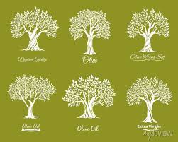 Olive Trees Farm Icons Vector Set