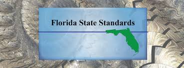 Florida State Standards Alignment 6 8