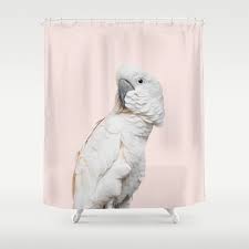 Cockatoo Parrot Photography Blush