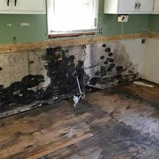 24 7 Mold Removal Remediation
