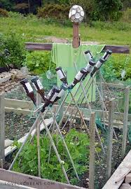 Keep Birds Out Of The Vegetable Garden