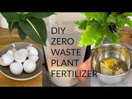 Fertilizer For Plants Fertilizer Plants