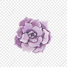 Purple Flower Plant Icon Free Vector