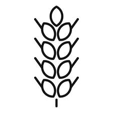 Wheat Icon Outline Vector Organic