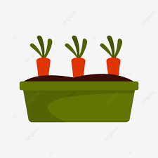 Carrot Garden Vector Design Images