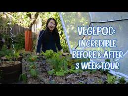 Large Vegepod Raised Garden Bed