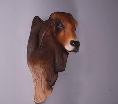 Red Brahman Bull Head And Shoulder Wall