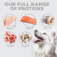 Dry Pet Food With Insect For Dogs Of