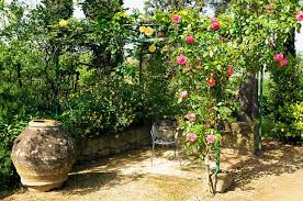 Mediterranean Garden Ideas