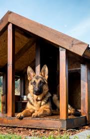 Diy Dog House Plans Outdoor Easy