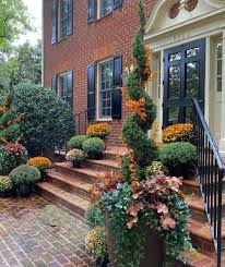 40 Front Door Plants For A Stylish