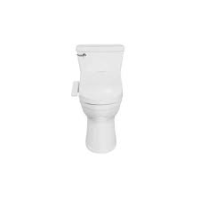 American Standard Advanced Clean 1 0 Spalet Bidet Seat With Champion 4 Het Right Height Elongated 1 28 Gpf Toilet In White