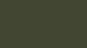 Ral 6003 Olive Green Smooth Gloss 20 50