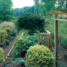 Veggie Garden