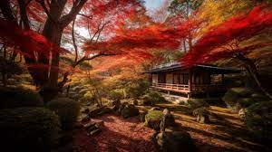 The Zen Garden As A Japanese Place