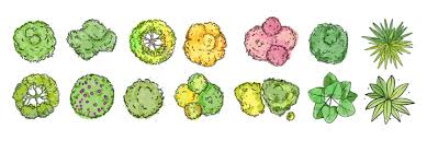 Plants Plan View Images Browse 146