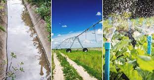 9 Irrigation System Options For