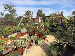 6 Nurseries To Discover In San