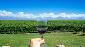 Mendoza Wine Tours All You Need To