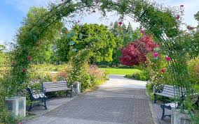 Best Spring Gardens Eugene Cascades