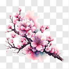 Beautiful Cherry Blossoms Branch Png