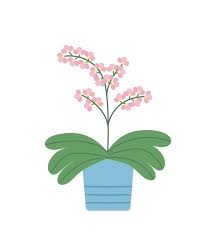 Tropical Flower Doodle Icon