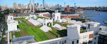 The History Of Rooftop Gardens