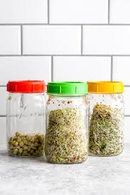 How To Grow Sprouts In A Jar Darn