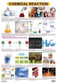 Chemical Reactions Chart Whole