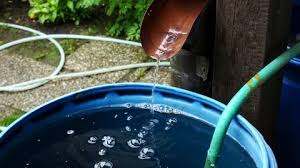 Rain Barrel Stock Footage