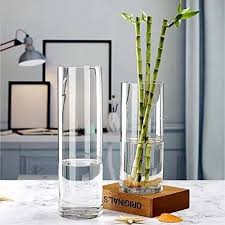 Tall Cylinder Glass Flower Vase Shape