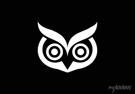 Owl Logo Design And Icon Concept Logo