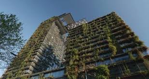 Sustainable Vertical Garden