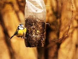 Bird Feeder From An Upcycled Plastic Bottle