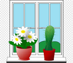 Cactus Window Window Box Png