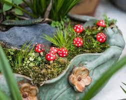 Fairy Miniature Small Mushroom Red
