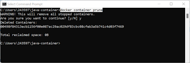 remove docker containers by id name or