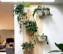 35 Vertical Plant Walls And Gardens