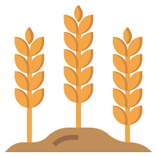 Rice Free Nature Icons