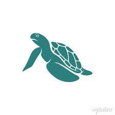 Turtle Design Vector Ilration