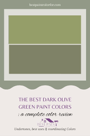 The Best Dark Olive Green Paint Colors