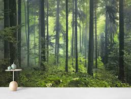 Buy Green Forest Wall Mural Free Us