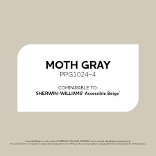Moth Gray Satin Interior Paint