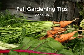 Your Fall Gardening Checklist For Zone 8b